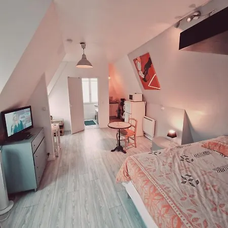 Apartamento Location Saisonniere, Meublee, Type A Sèvres